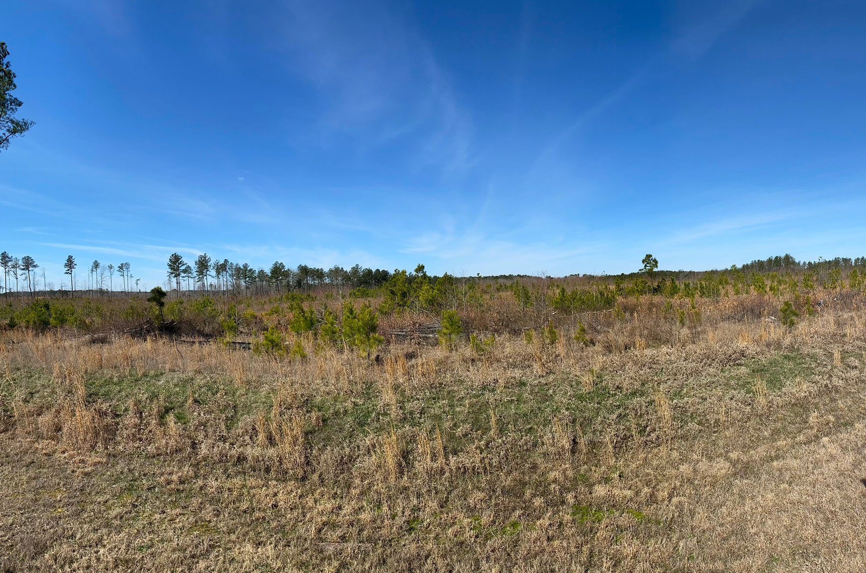 Image for 28,000 sq ft. Equestrian Arena Facility on 168.202 acres