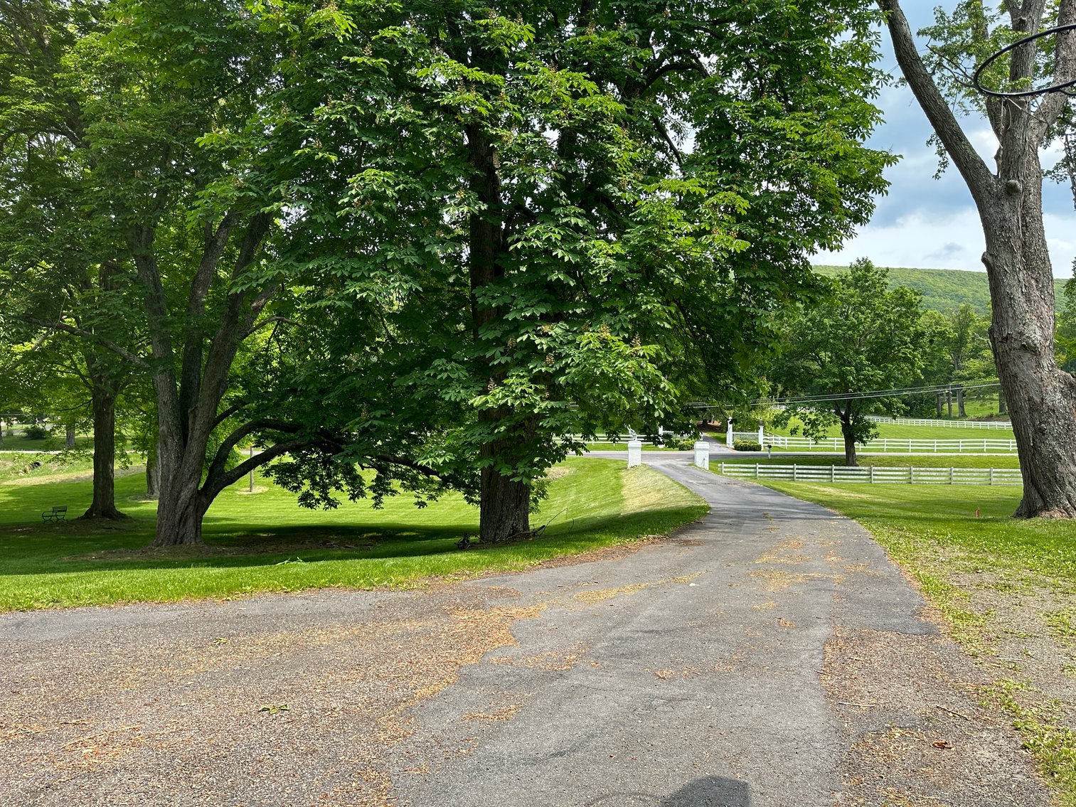 Image for 8883 Sam Snead Hwy, Hot Springs, VA - The Hot Springs Victorian Inn