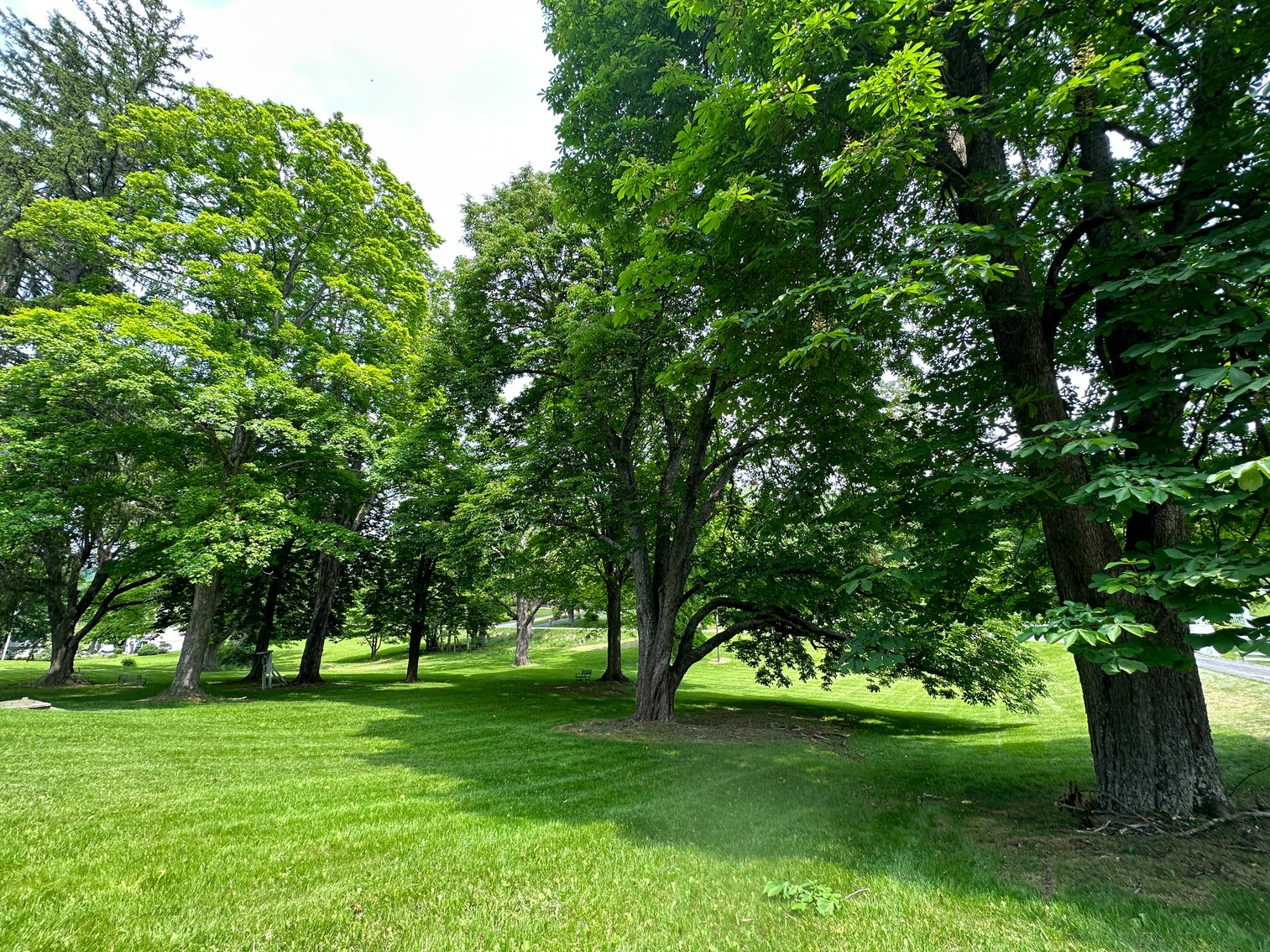 Image for 8883 Sam Snead Hwy, Hot Springs, VA - The Hot Springs Victorian Inn