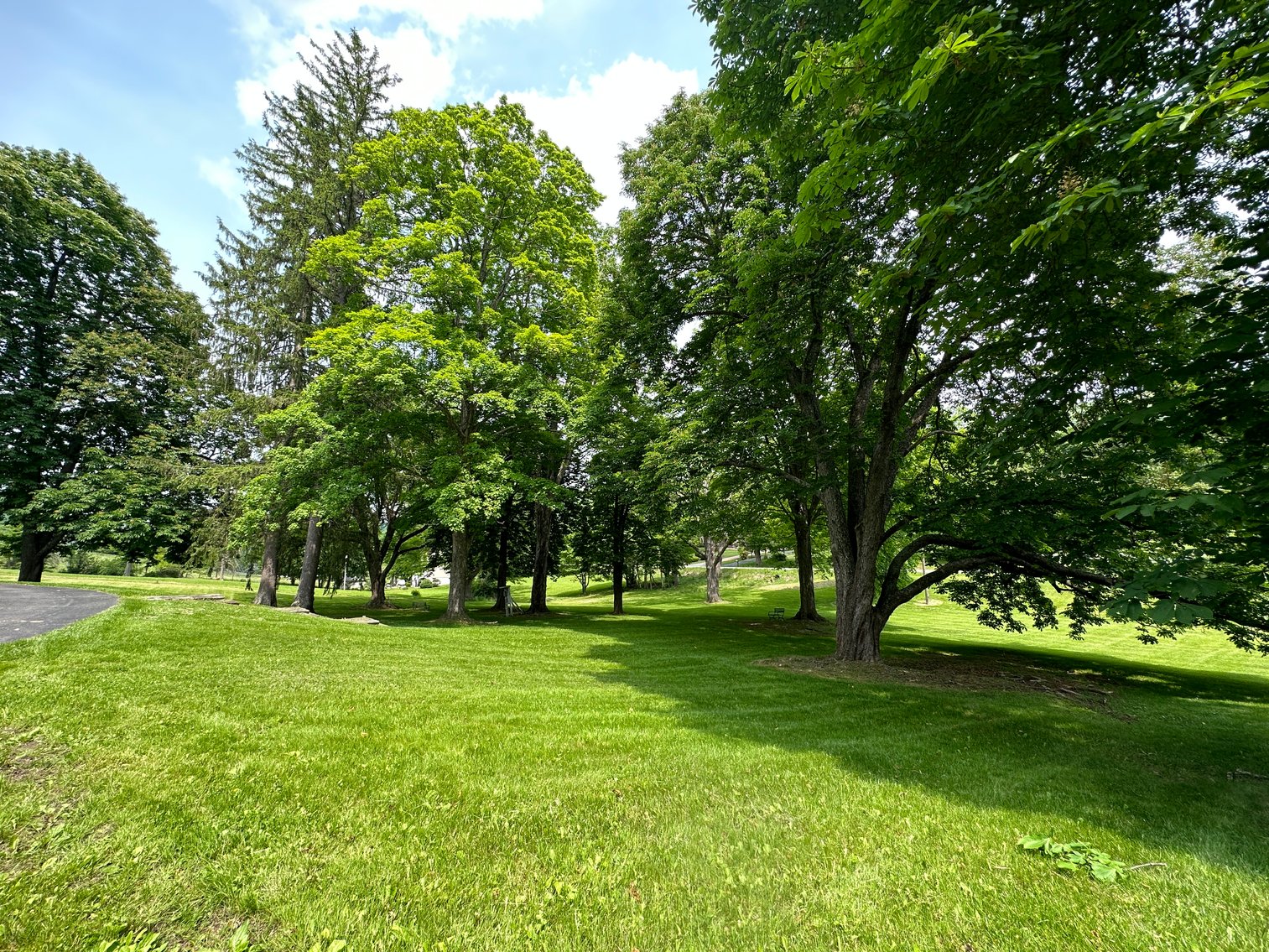 Image for 8883 Sam Snead Hwy, Hot Springs, VA - The Hot Springs Victorian Inn
