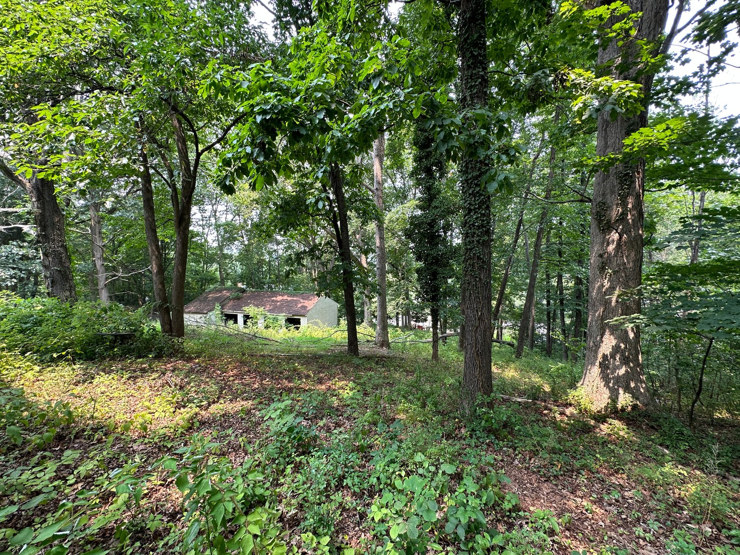 Image for Selling for the Estate of  Geoffrey Peterson . 3 Bed / 2 Bath 2247 Sq. with a large unfinished basement .