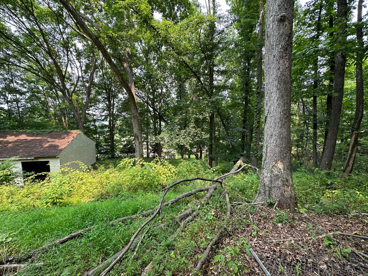 Image for Selling for the Estate of  Geoffrey Peterson . 3 Bed / 2 Bath 2247 Sq. with a large unfinished basement .