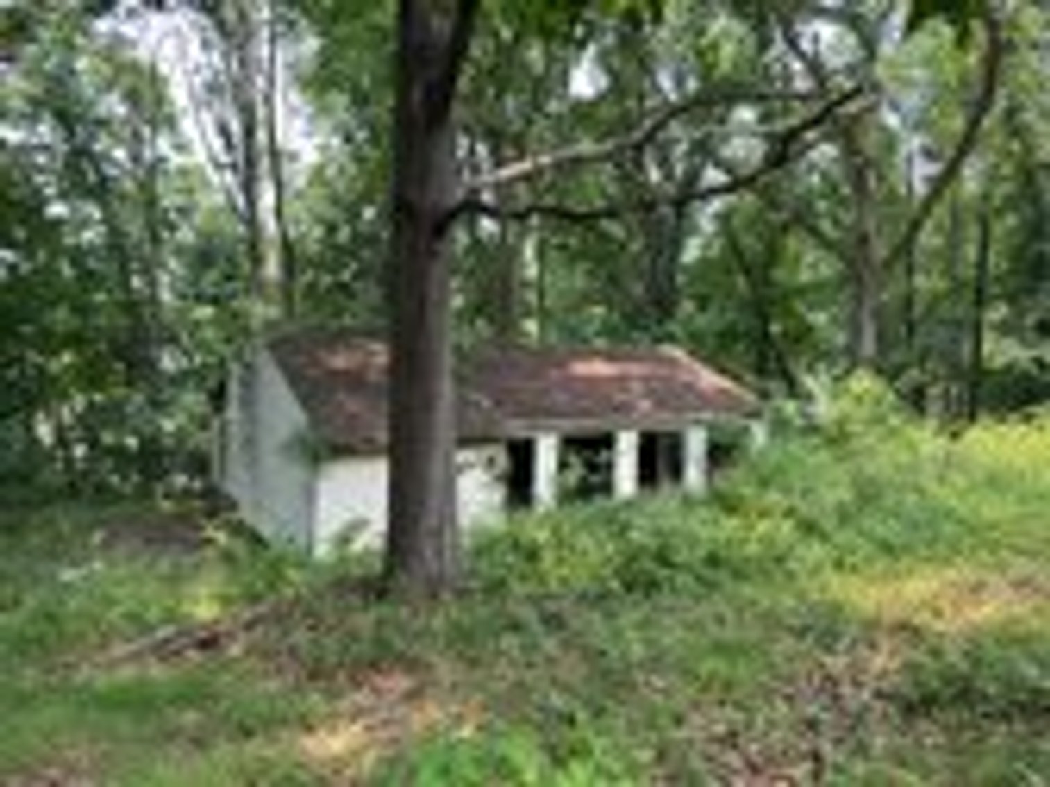 Image for Selling for the Estate of  Geoffrey Peterson . 3 Bed / 2 Bath 2247 Sq. with a large unfinished basement .