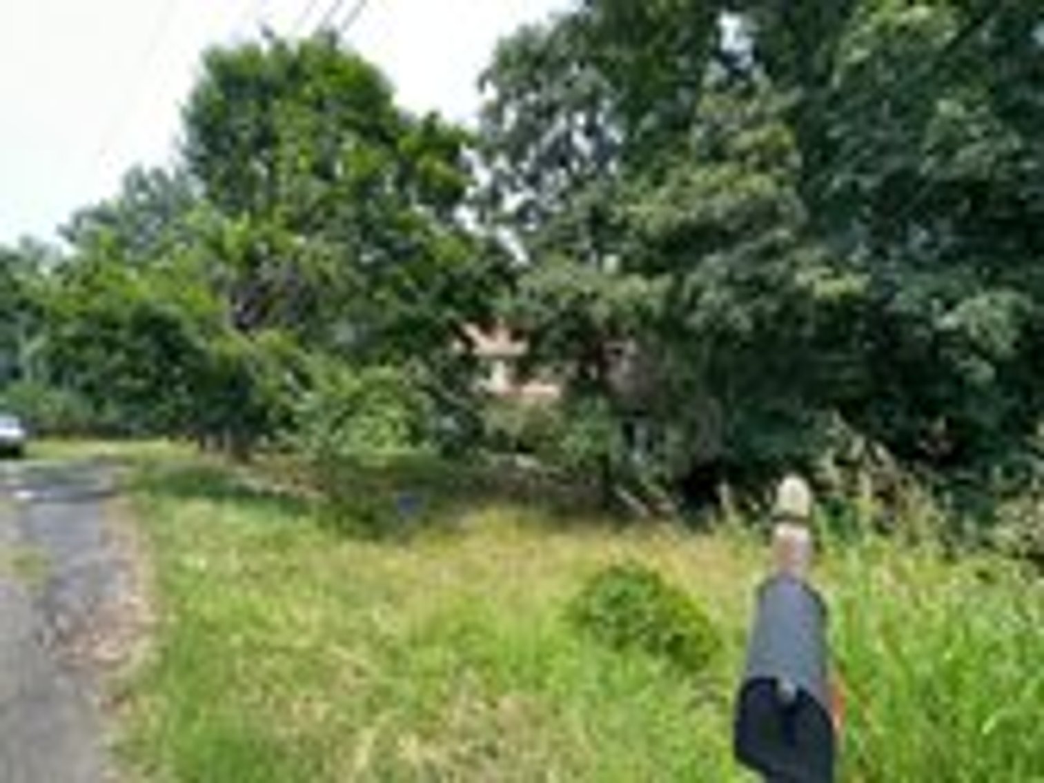 Image for Selling for the Estate of  Geoffrey Peterson . 3 Bed / 2 Bath 2247 Sq. with a large unfinished basement .