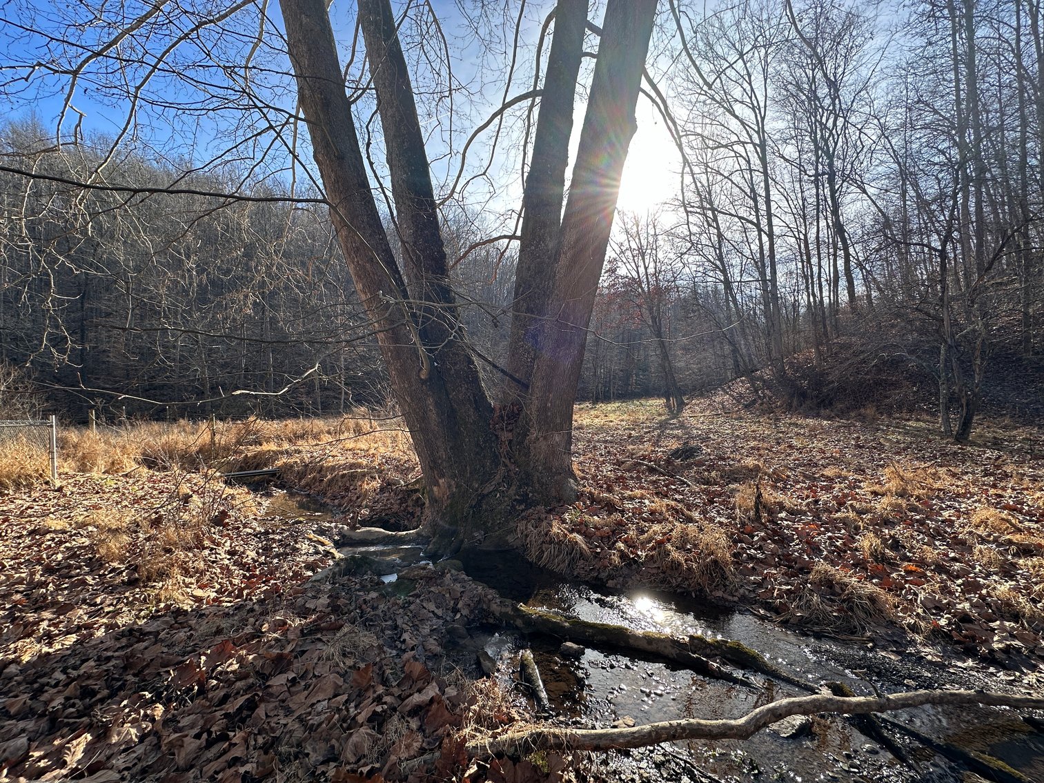 Image for 3 Bed / 2 Bath Home on +/-88 Acres (2 Parcels) : 512 Walters Run, West Union, WV 26456