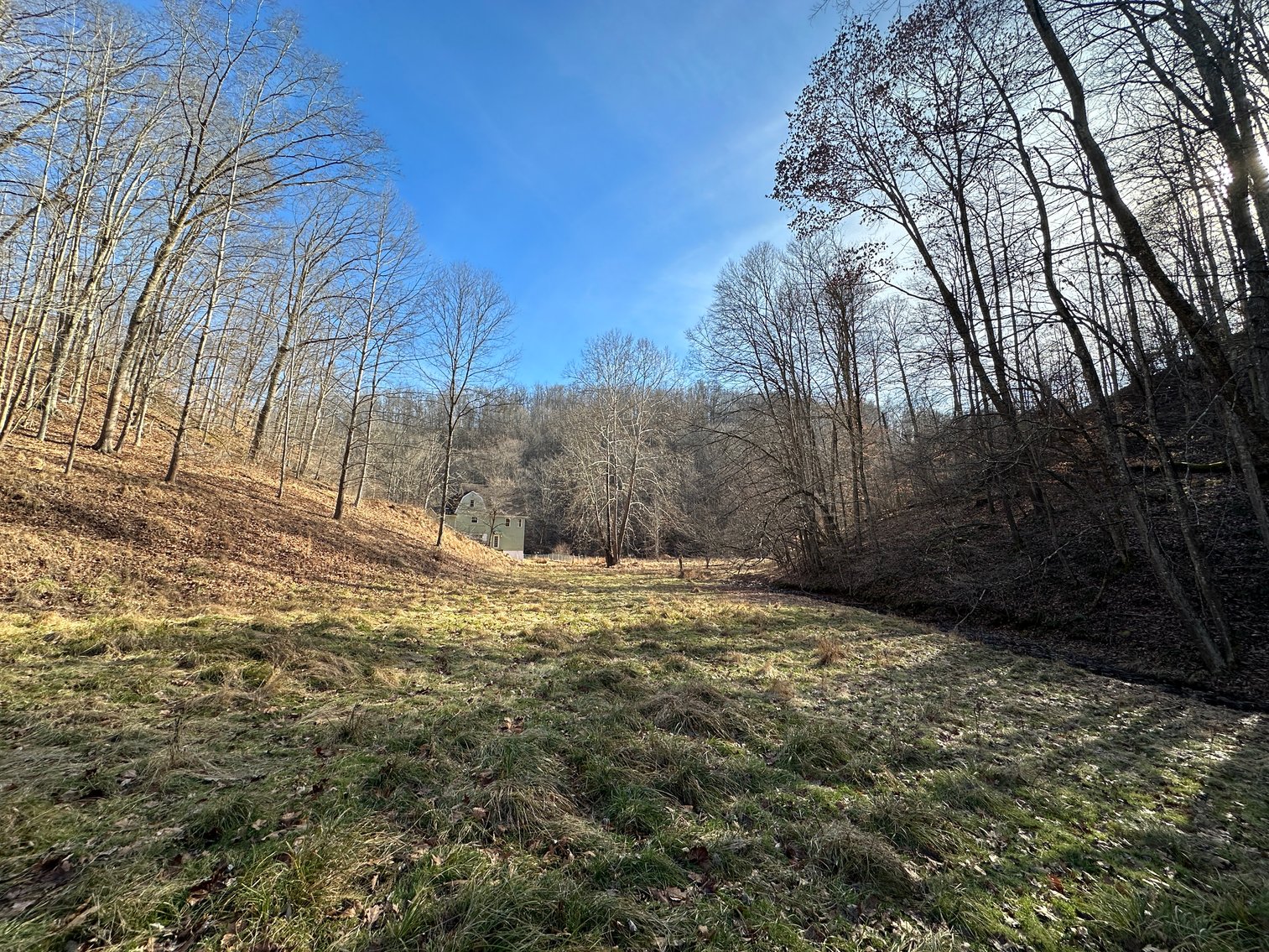 Image for 3 Bed / 2 Bath Home on +/-88 Acres (2 Parcels) : 512 Walters Run, West Union, WV 26456