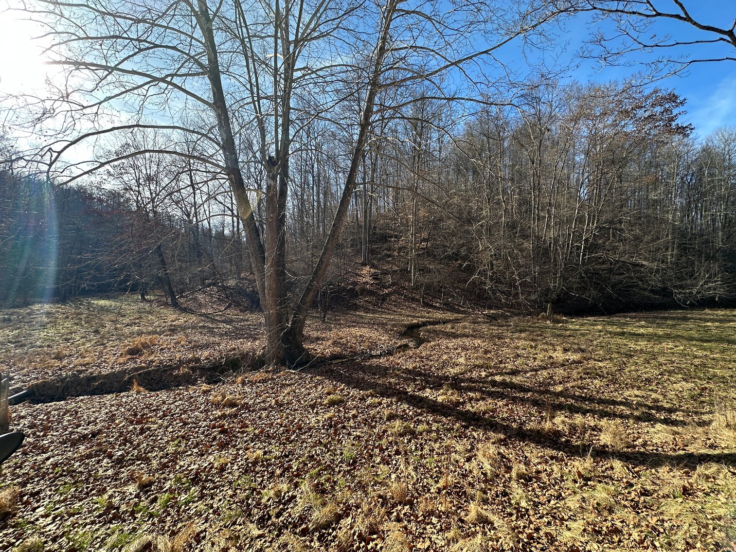 Image for 3 Bed / 2 Bath Home on +/-88 Acres (2 Parcels) : 512 Walters Run, West Union, WV 26456