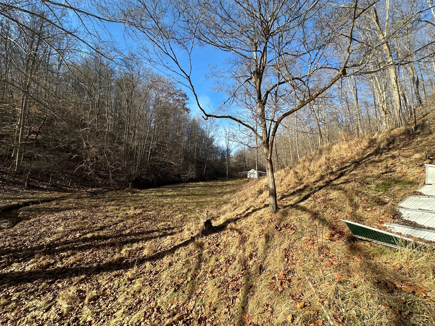 Image for 3 Bed / 2 Bath Home on +/-88 Acres (2 Parcels) : 512 Walters Run, West Union, WV 26456