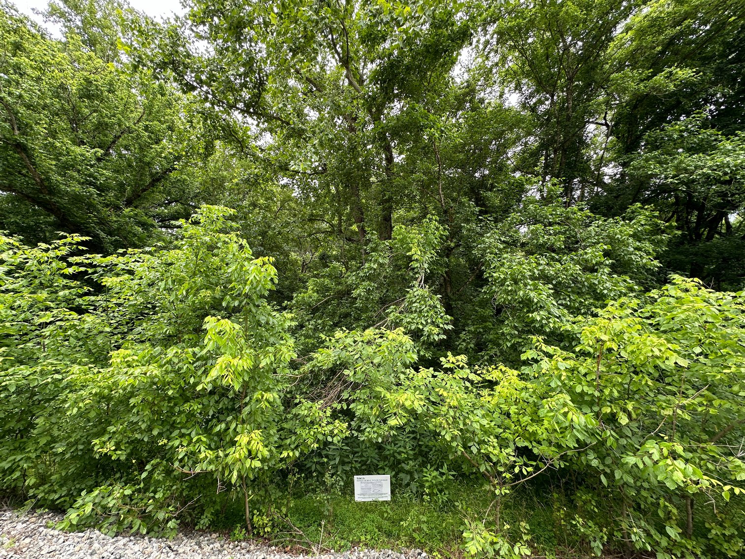 Image for Botetourt County - Sale of Tax Delinquent Real Estate