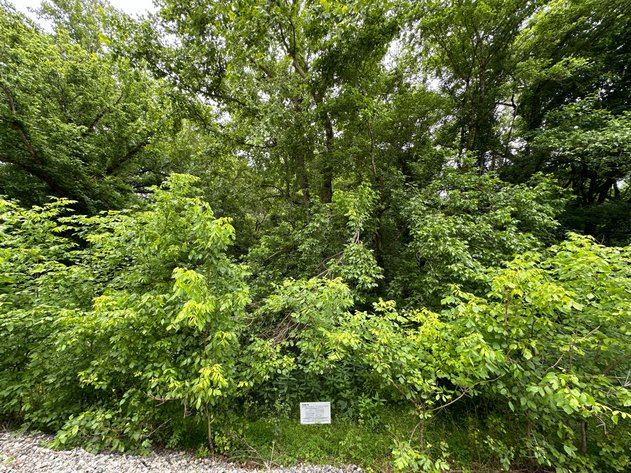 Image for Botetourt County - Sale of Tax Delinquent Real Estate