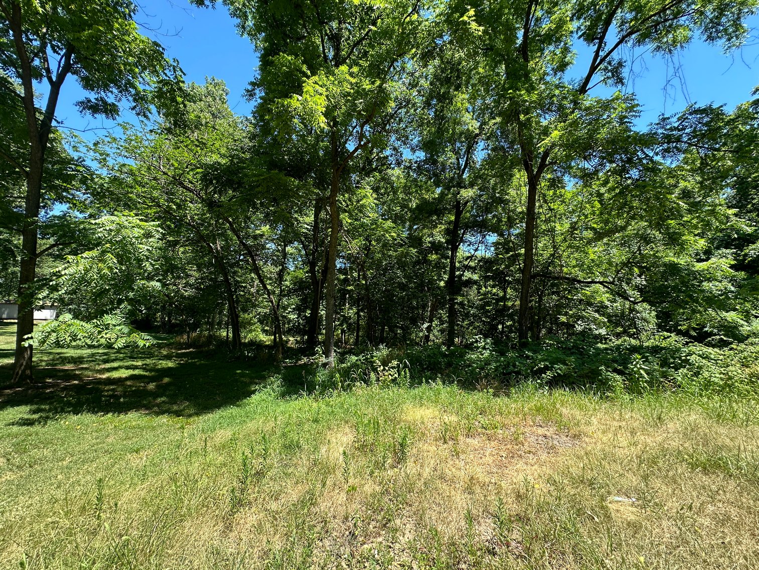 Image for Prince William County , VA - Sale of Tax Delinquent Real Estate