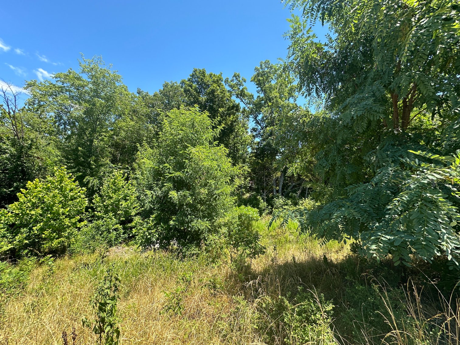 Image for Prince William County , VA - Sale of Tax Delinquent Real Estate