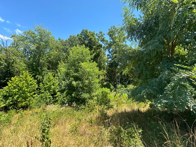 Image for Prince William County , VA - Sale of Tax Delinquent Real Estate