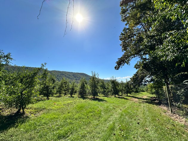 Image for 33.25 Acres with 5 Division Rights in Albemarle County. 5885 Brush Mountain Trl