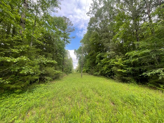 Image for Exceptional 37-Acre Mining Investment Opportunity