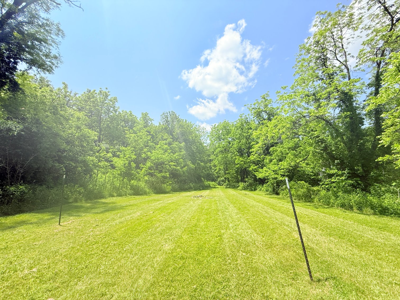 Image for Completely Renovated 1830 Log Cabin with Hot Spring & Thriving Airbnb Business - 12509 Sam Snead Hwy