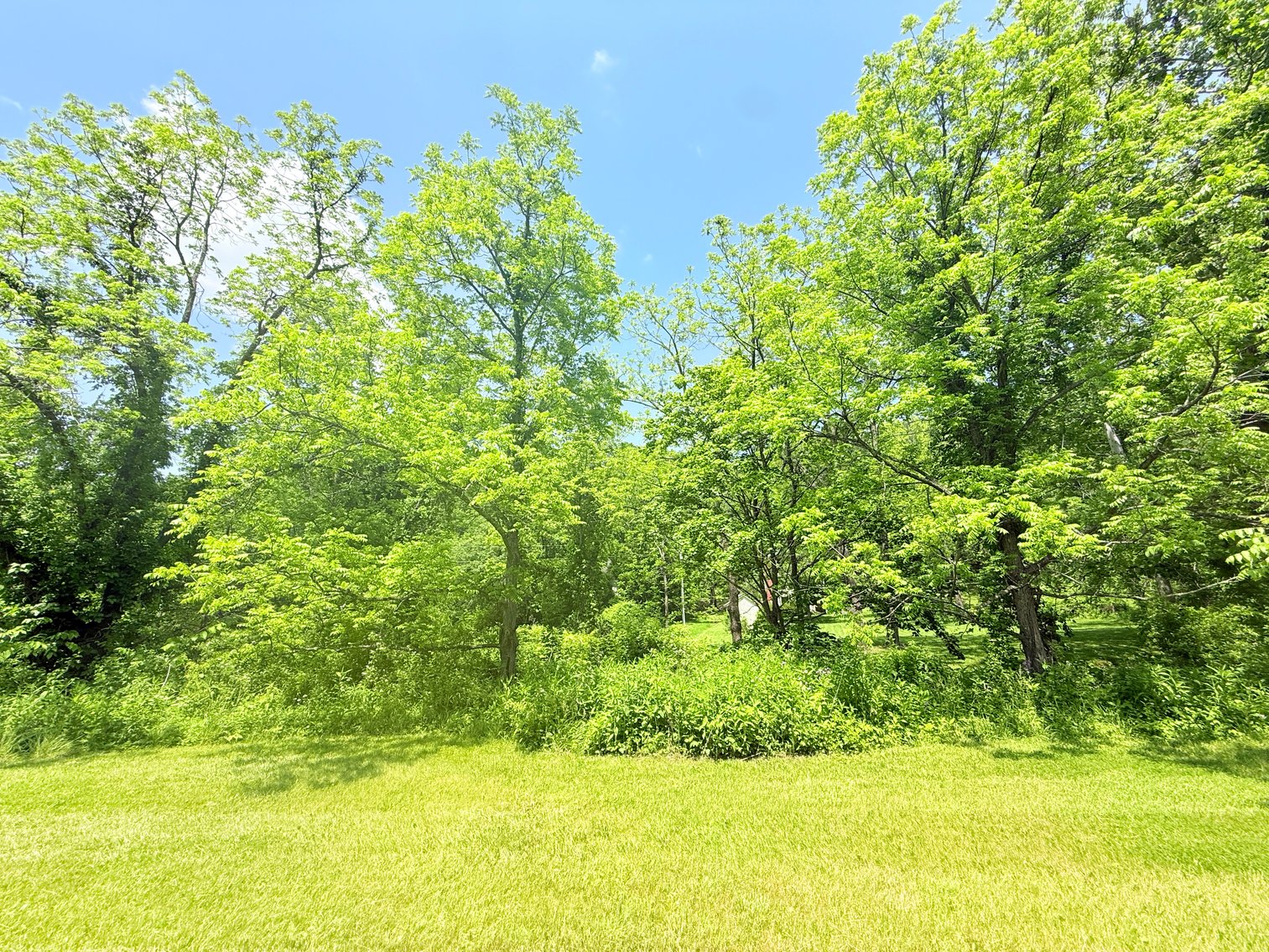 Image for Completely Renovated 1830 Log Cabin with Hot Spring & Thriving Airbnb Business - 12509 Sam Snead Hwy