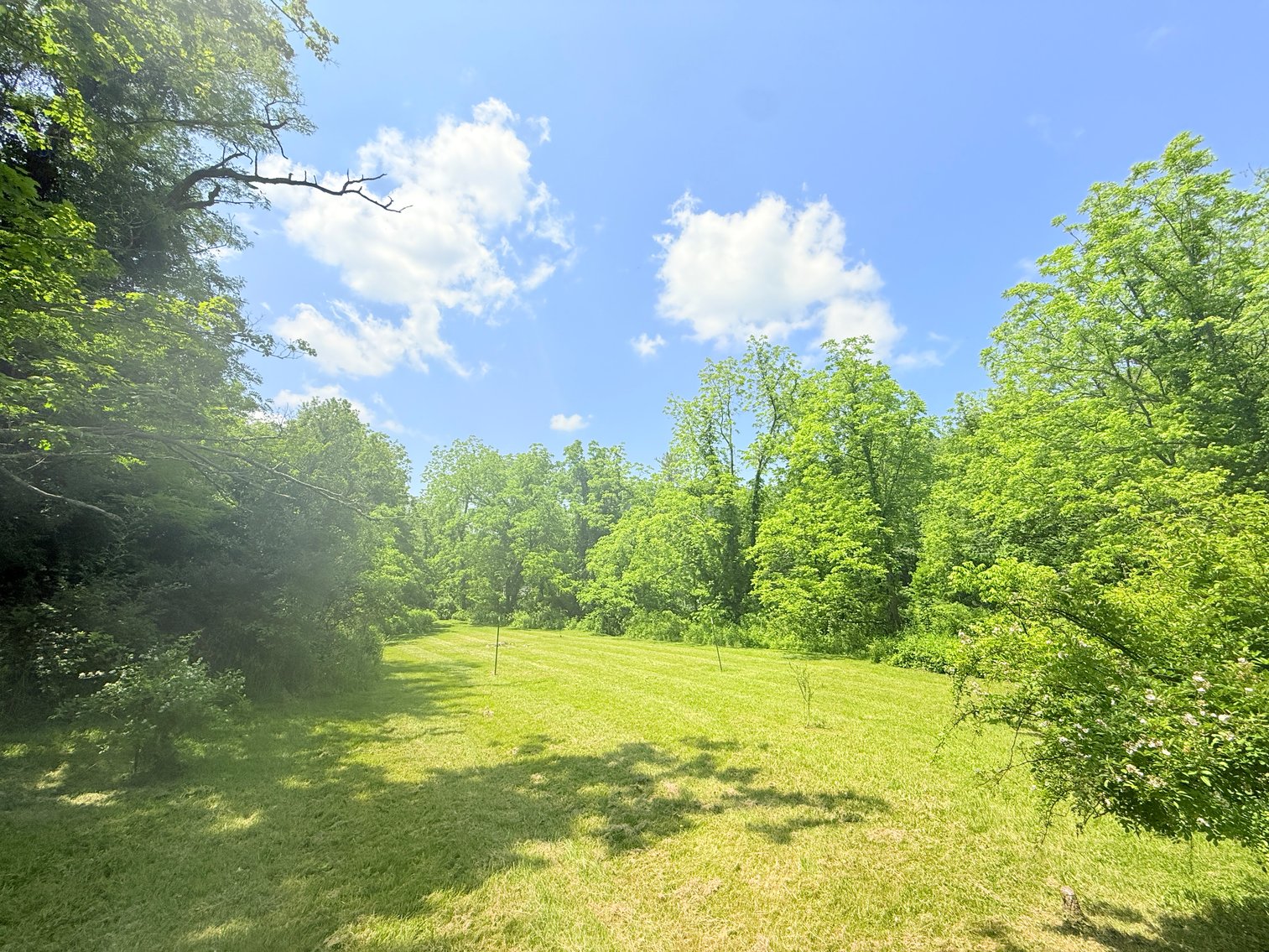 Image for Completely Renovated 1830 Log Cabin with Hot Spring & Thriving Airbnb Business - 12509 Sam Snead Hwy