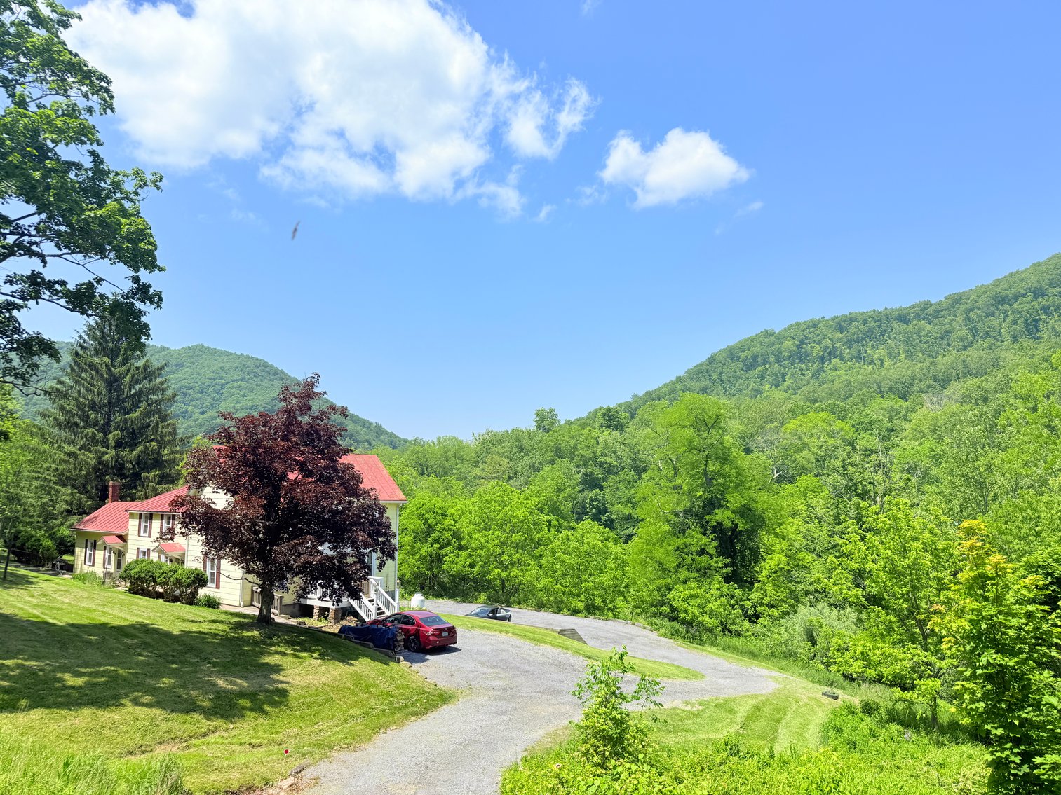 Image for Completely Renovated 1830 Log Cabin with Hot Spring & Thriving Airbnb Business - 12509 Sam Snead Hwy