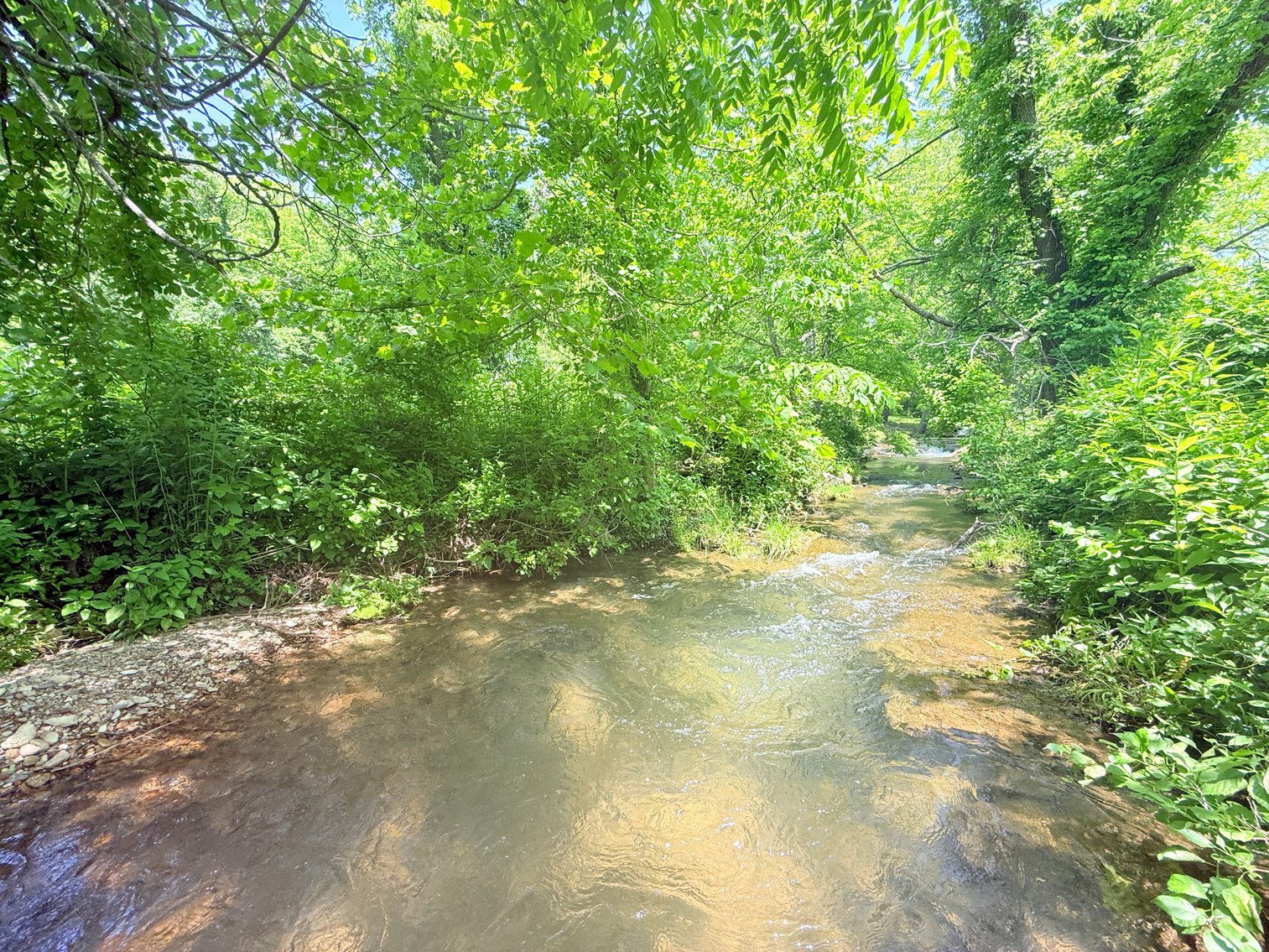 Image for Completely Renovated 1830 Log Cabin with Hot Spring & Thriving Airbnb Business - 12509 Sam Snead Hwy