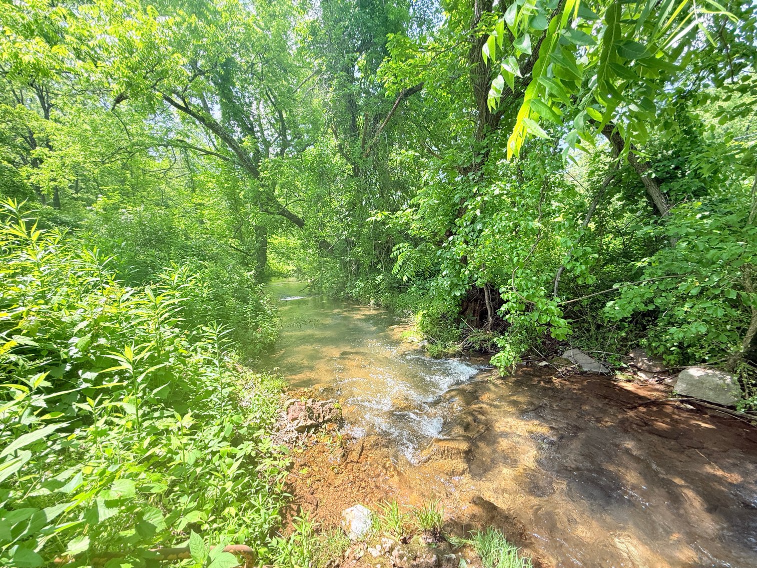 Image for Completely Renovated 1830 Log Cabin with Hot Spring & Thriving Airbnb Business - 12509 Sam Snead Hwy