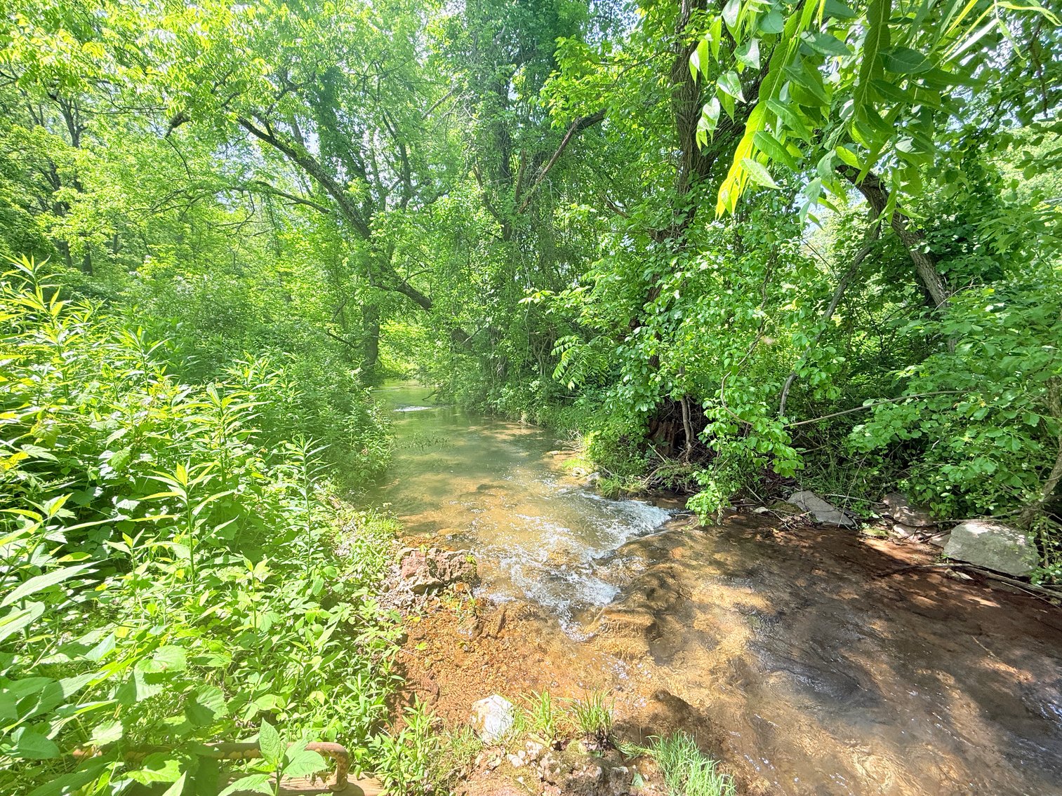Image for Completely Renovated 1830 Log Cabin with Hot Spring & Thriving Airbnb Business - 12509 Sam Snead Hwy