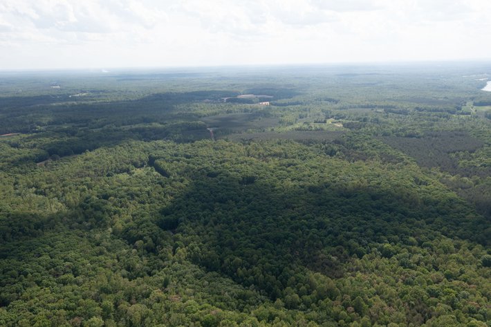 Image for Court Ordered Auction for the Estate of Charles Goode - 37 Acres in Powhatan, VA