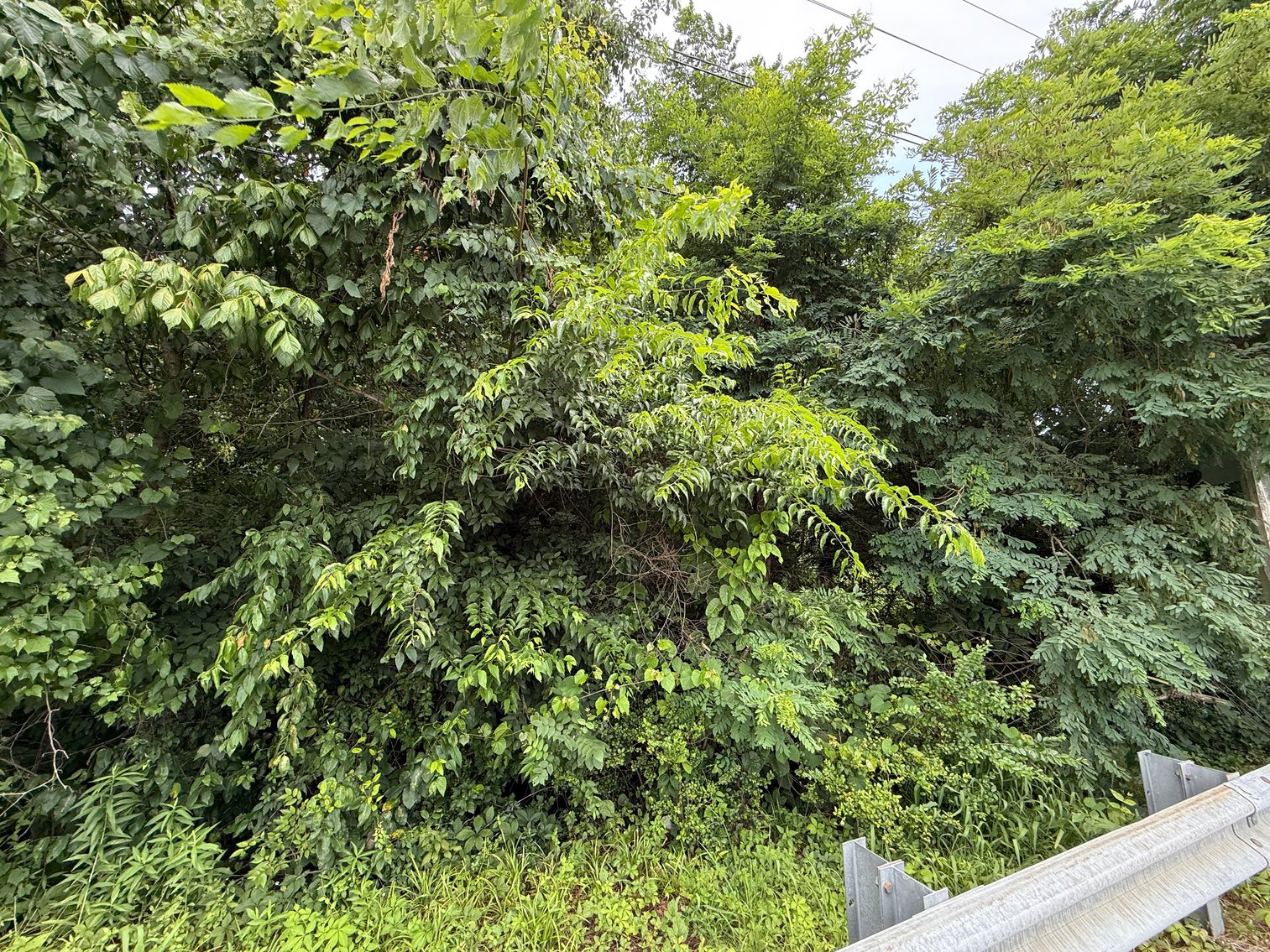 Image for Prime Commercial Lots – City Of Danville Auction