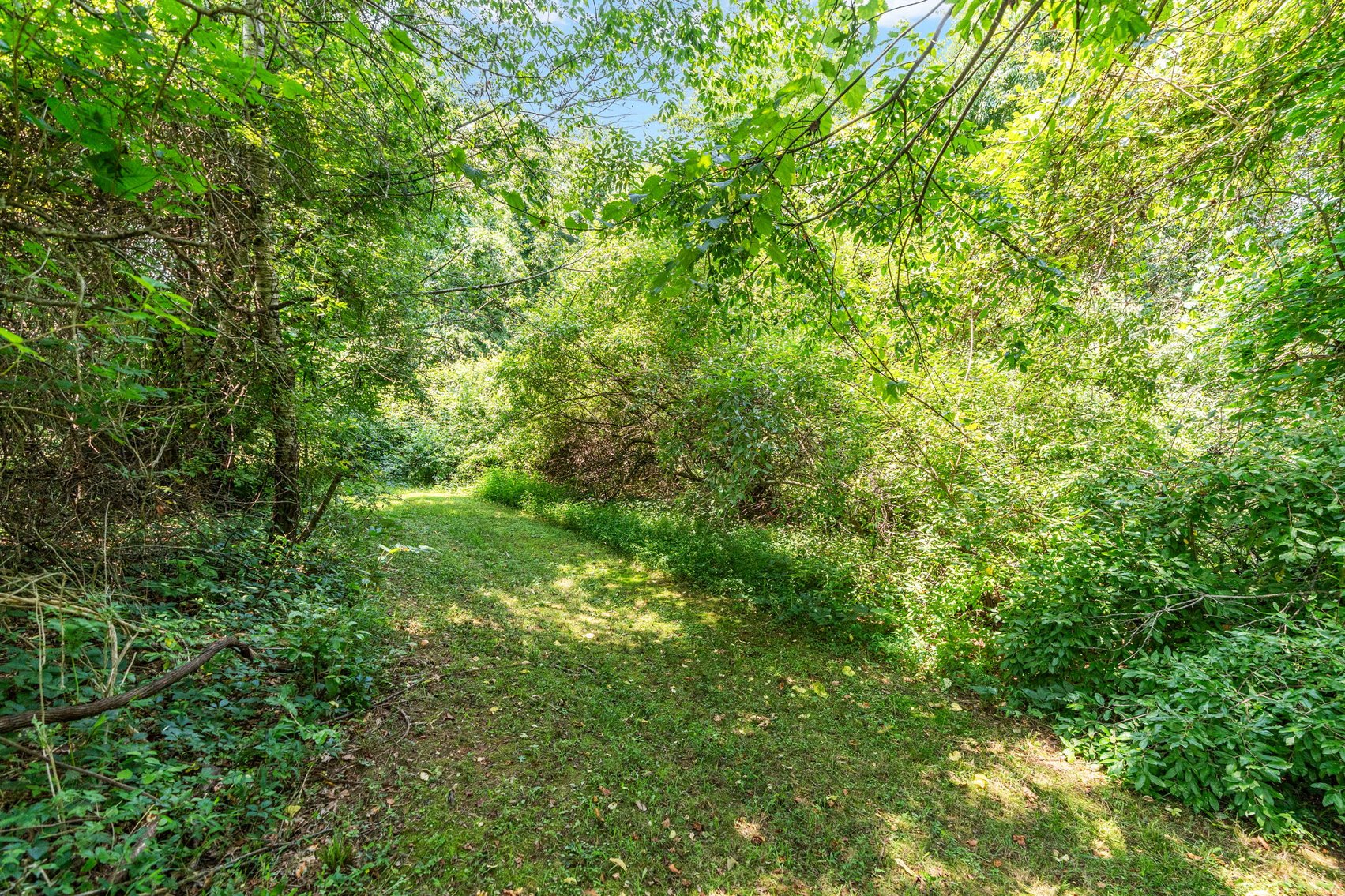 Image for FINANCE FRIENDLY AUCTION -  Charming 3 BD/ 2 BA, 2,146 sq ft Brick Ranch on 1+/- acres in the Courthouse Commons Area of Goochland