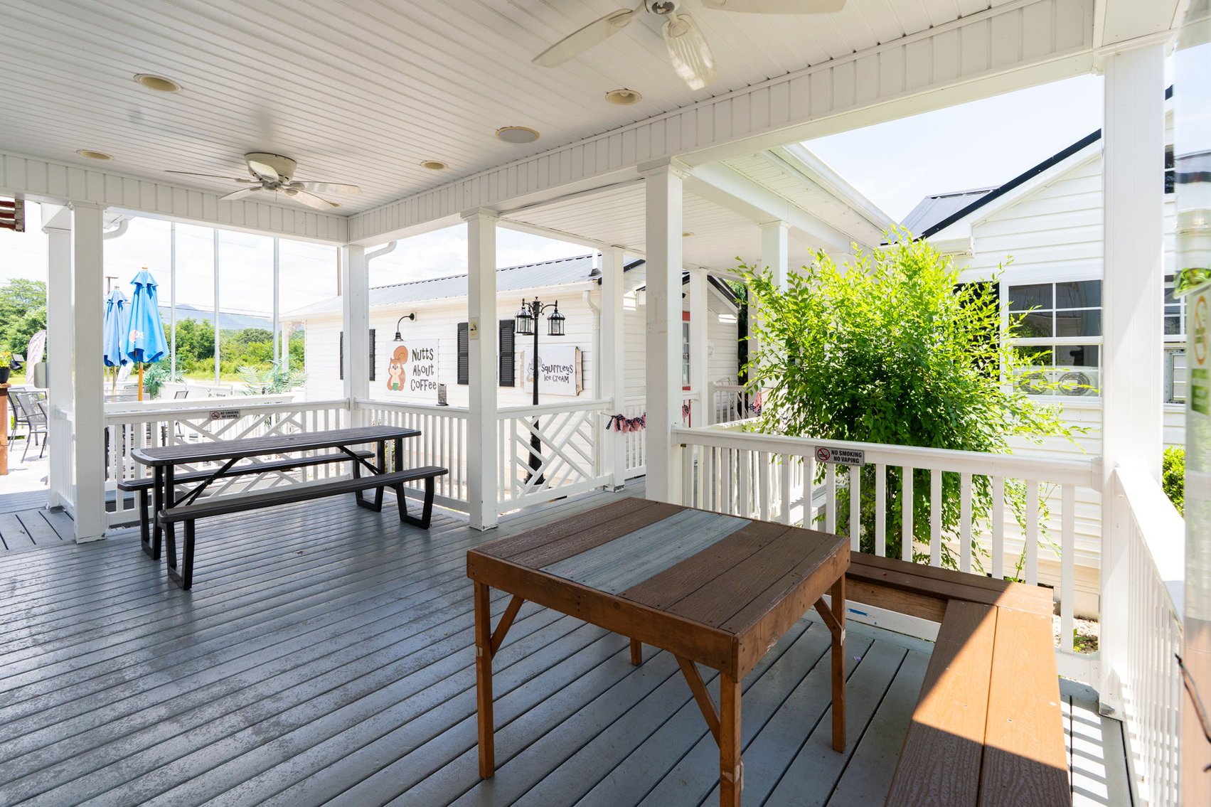 Image for Income Producing Multi-Tenant Commercial Retail Center - 6 Buildings on 1.59 Acres - Elkton VA