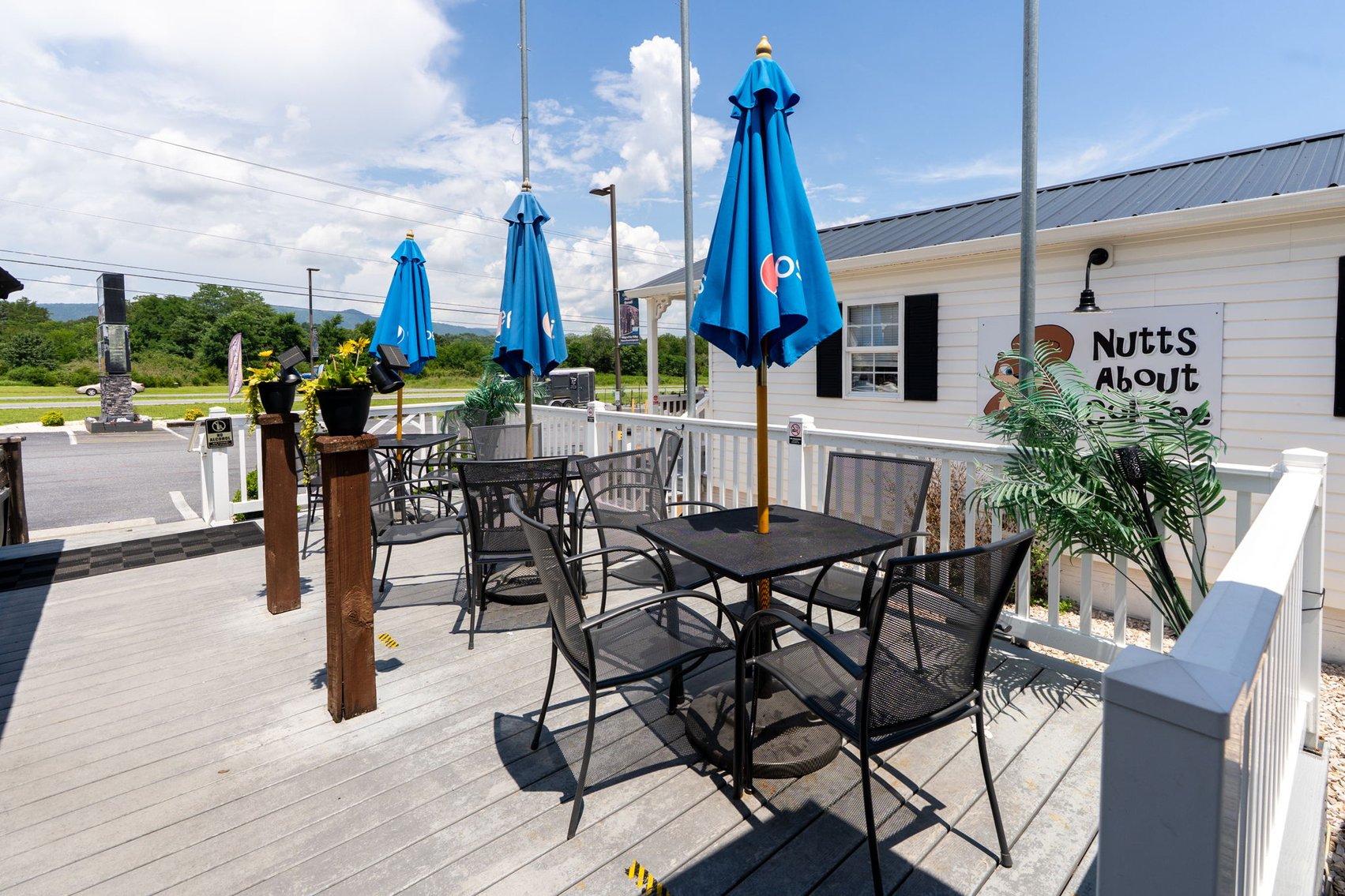 Image for Income Producing Multi-Tenant Commercial Retail Center - 6 Buildings on 1.59 Acres - Elkton VA