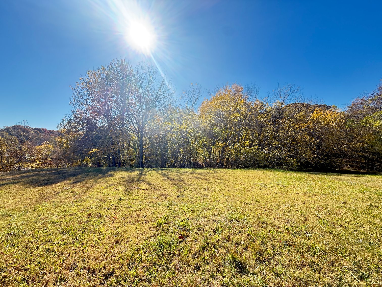 Image for City Of Danville, VA Sale of Tax Delinquent Real Estate