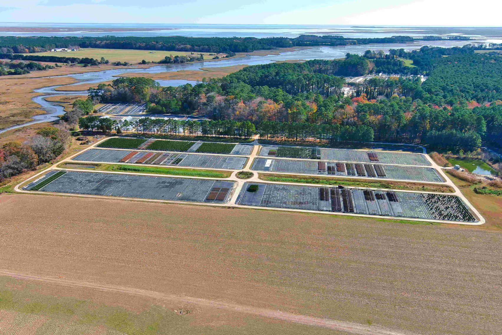 Image for Eastern Shore Farm Auction - 33 to 92 Acres - Creek Frontage, Hunting Land, Hobby Farm & Commercial Nursery - Virginia