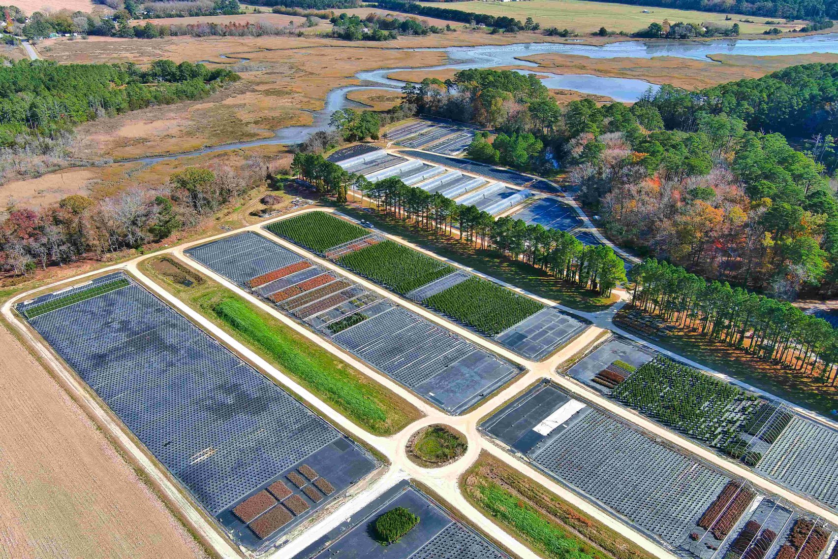 Image for Eastern Shore Farm Auction - 33 to 92 Acres - Creek Frontage, Hunting Land, Hobby Farm & Commercial Nursery - Virginia