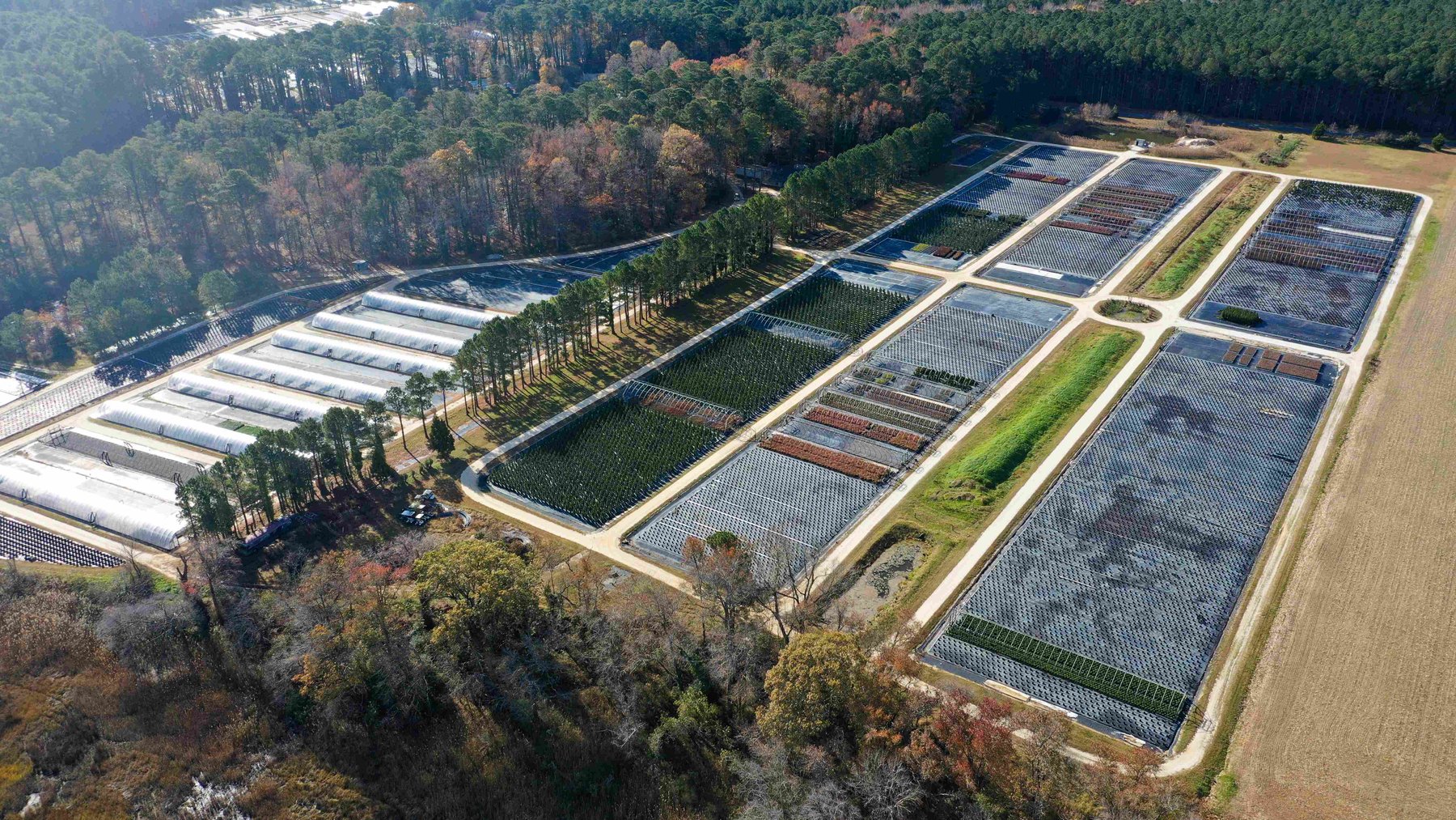 Image for Eastern Shore Farm Auction - 33 to 92 Acres - Creek Frontage, Hunting Land, Hobby Farm & Commercial Nursery - Virginia