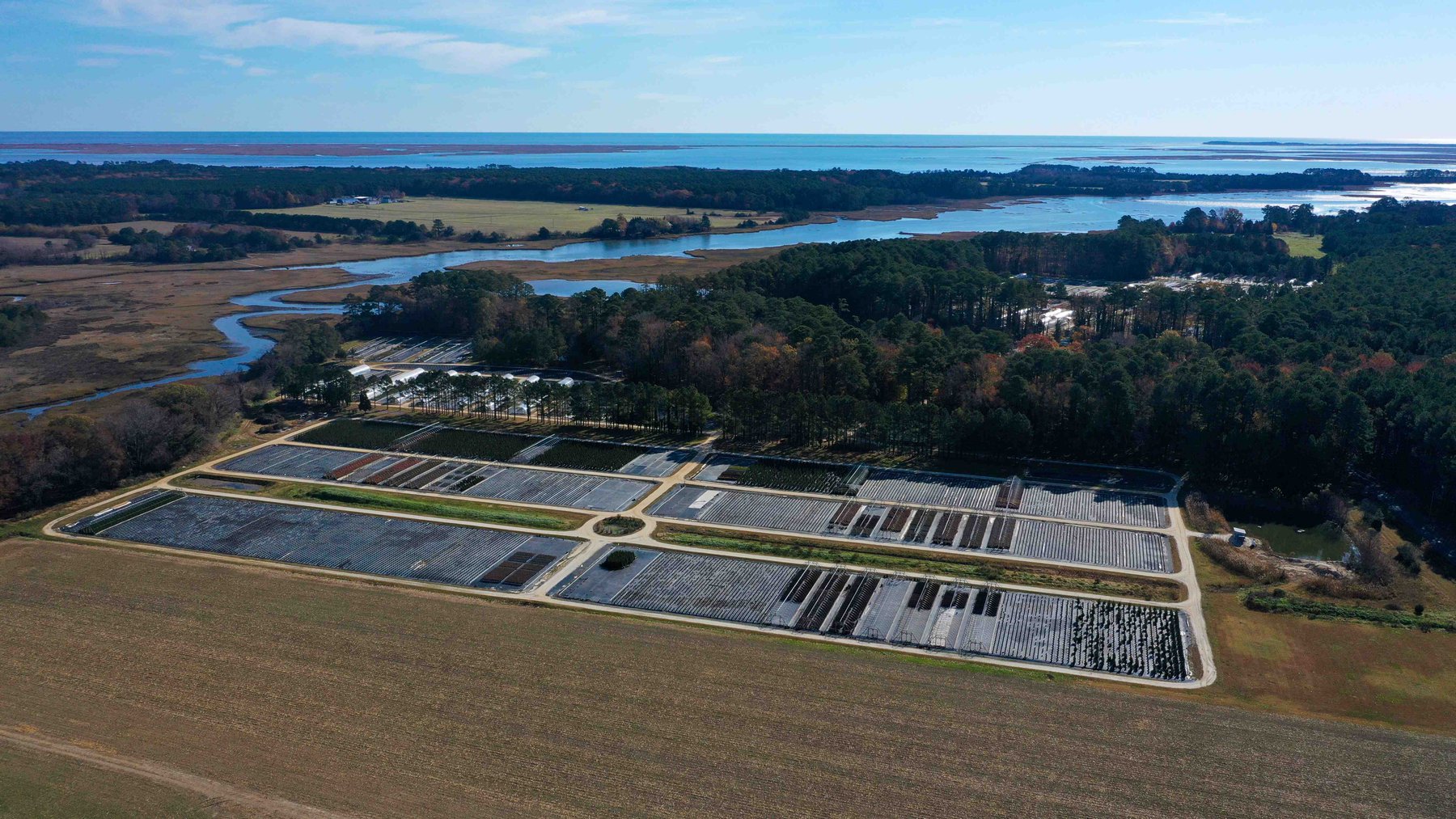 Image for Eastern Shore Farm Auction - 33 to 92 Acres - Creek Frontage, Hunting Land, Hobby Farm & Commercial Nursery - Virginia