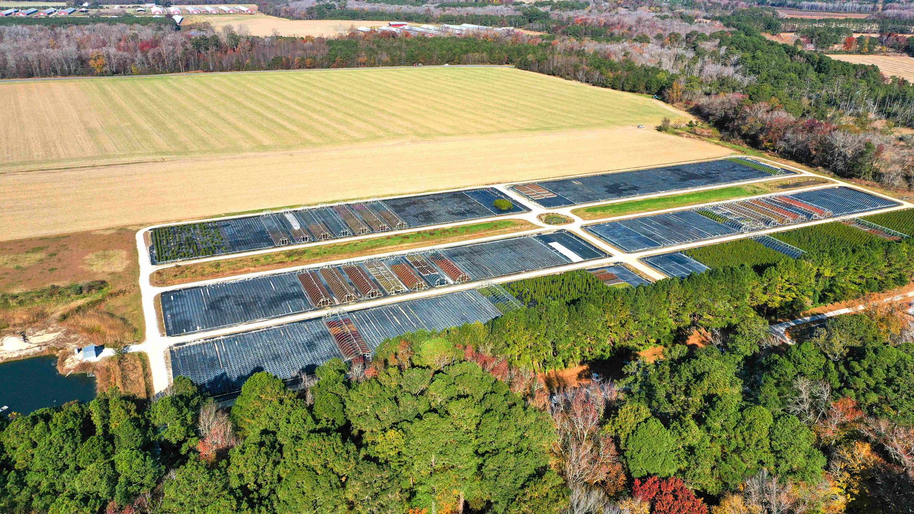 Image for Eastern Shore Farm Auction - 33 to 92 Acres - Creek Frontage, Hunting Land, Hobby Farm & Commercial Nursery - Virginia