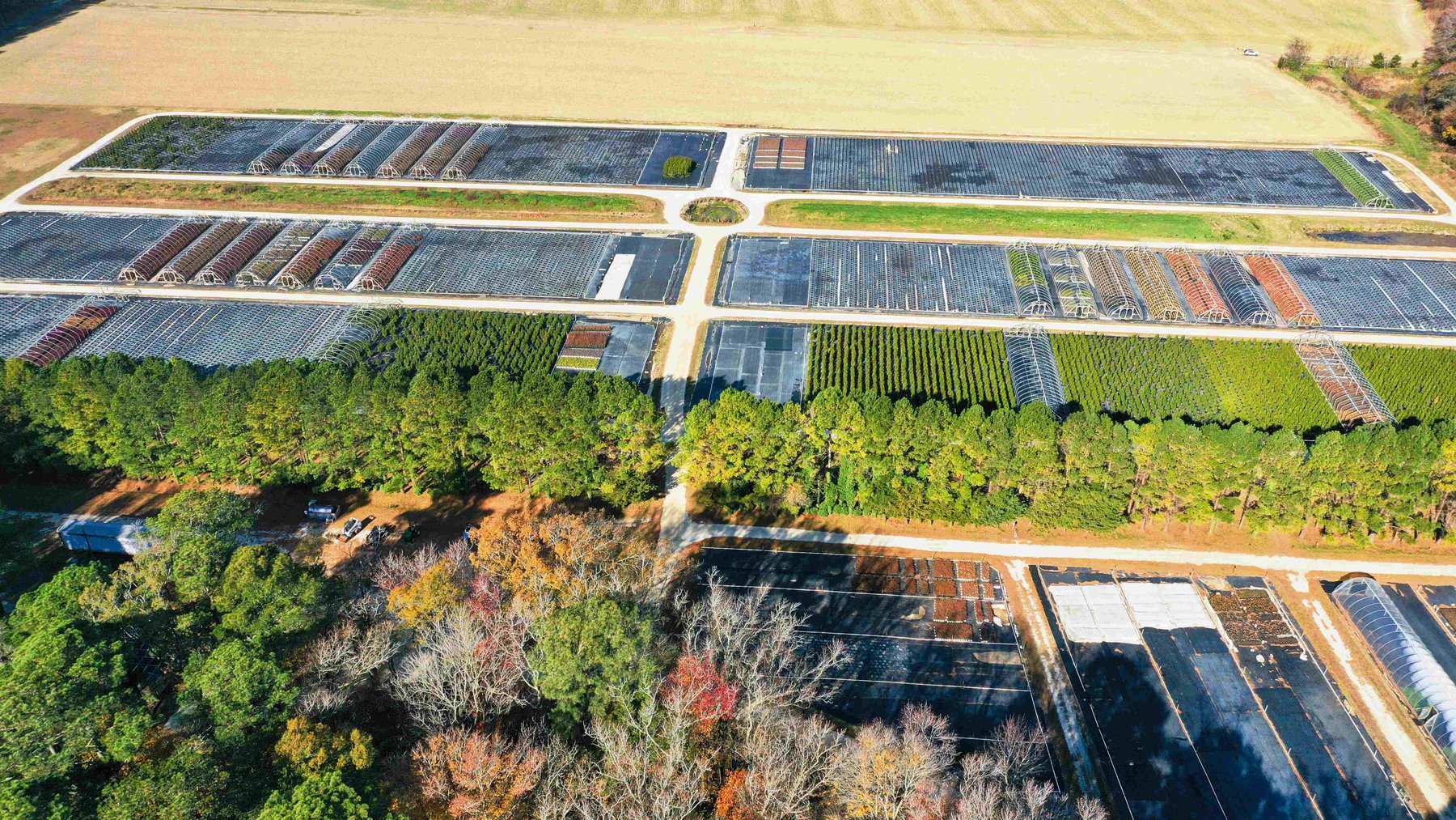 Image for Eastern Shore Farm Auction - 33 to 92 Acres - Creek Frontage, Hunting Land, Hobby Farm & Commercial Nursery - Virginia