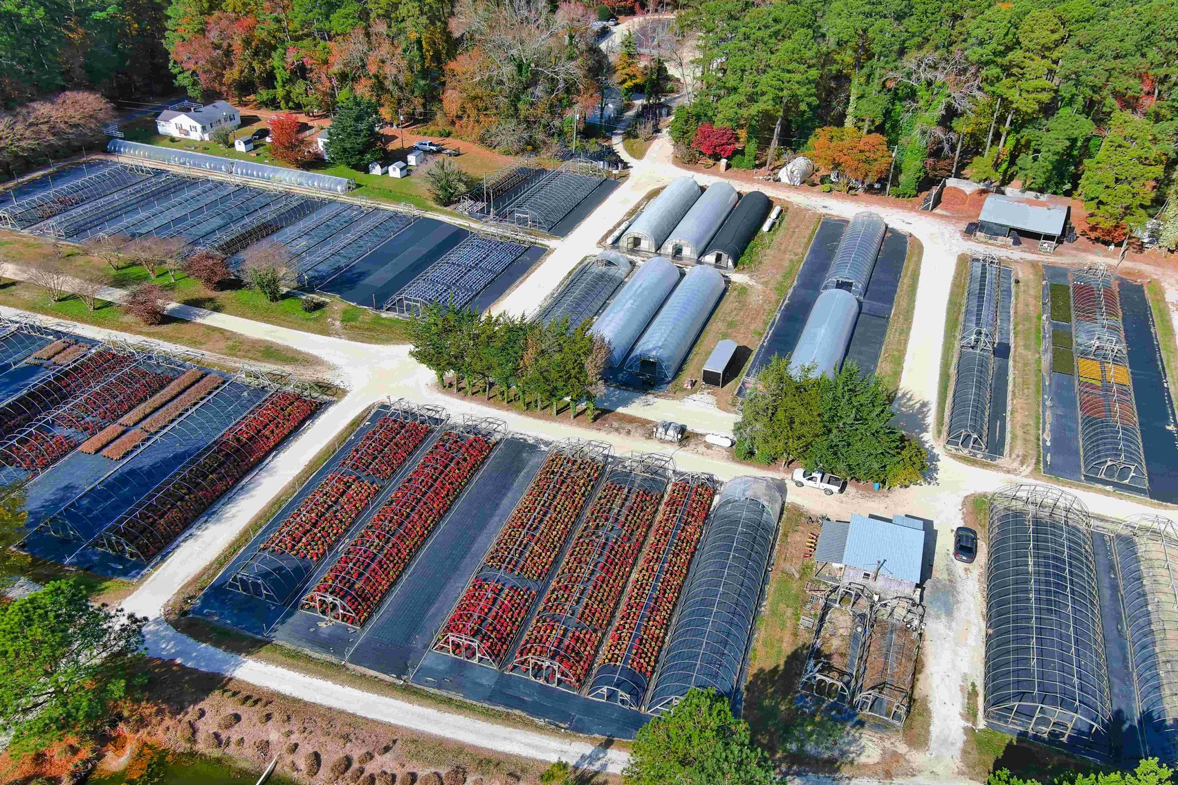 Image for Eastern Shore Farm Auction - 33 to 92 Acres - Creek Frontage, Hunting Land, Hobby Farm & Commercial Nursery - Virginia