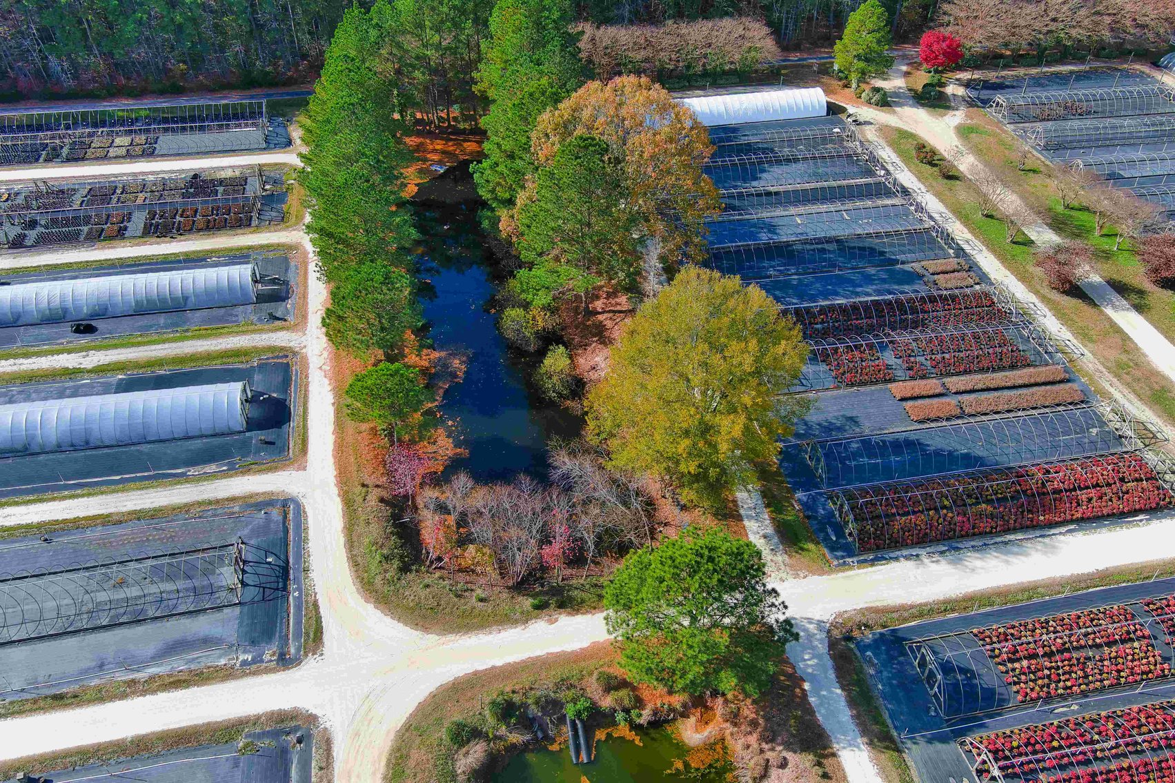 Image for Eastern Shore Farm Auction - 33 to 92 Acres - Creek Frontage, Hunting Land, Hobby Farm & Commercial Nursery - Virginia