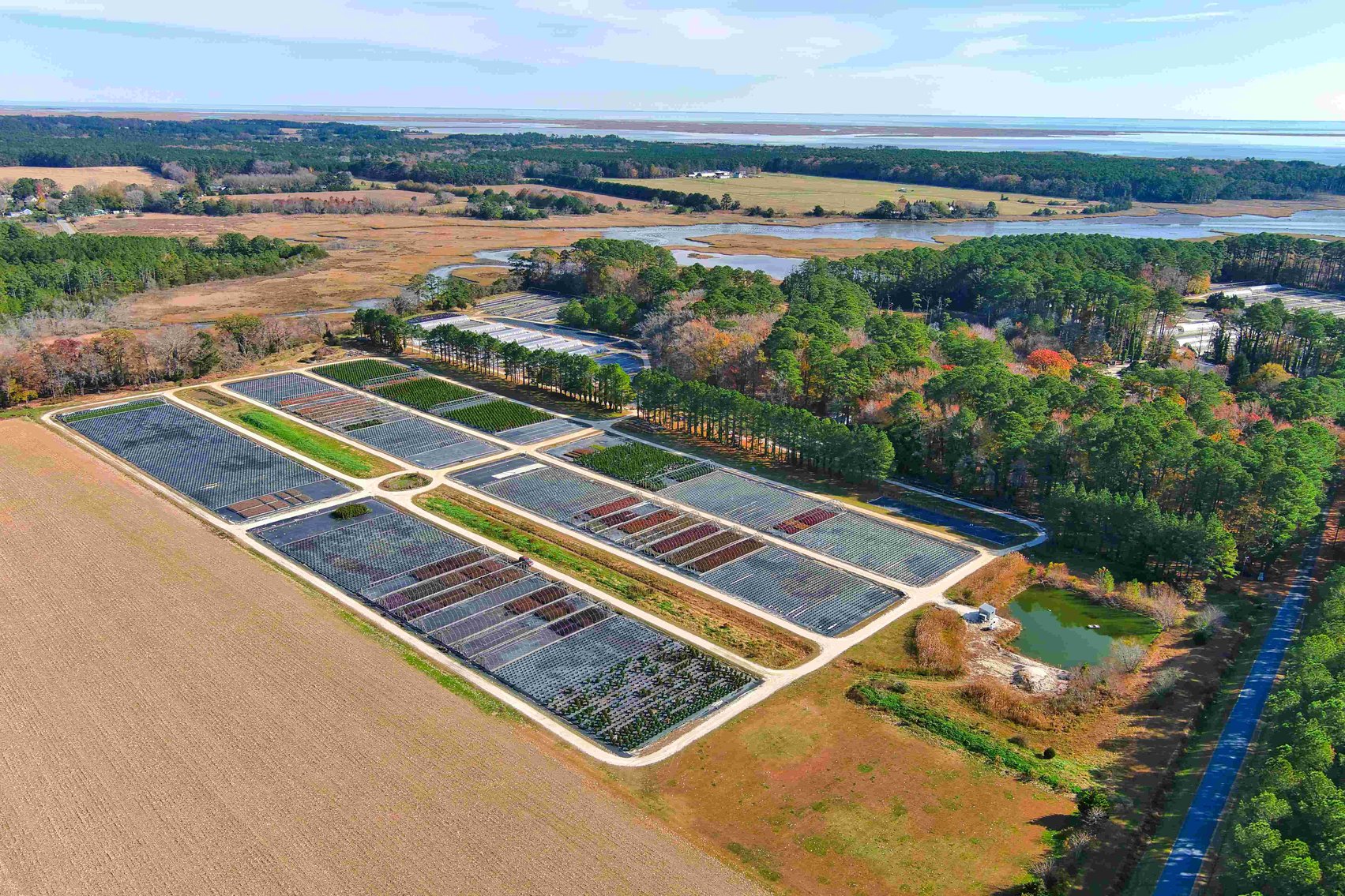 Image for Eastern Shore Farm Auction - 33 to 92 Acres - Creek Frontage, Hunting Land, Hobby Farm & Commercial Nursery - Virginia