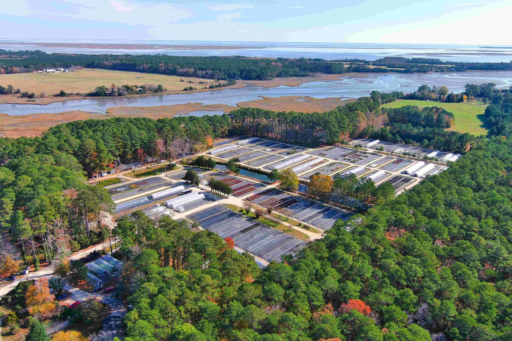 Image for Eastern Shore Farm Auction - 33 to 92 Acres - Creek Frontage, Hunting Land, Hobby Farm & Commercial Nursery - Virginia