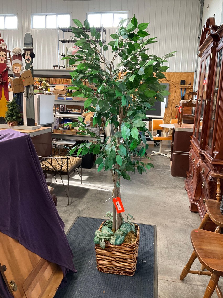 Image for Furniture, collectibles, household, delinquent storage units--New South