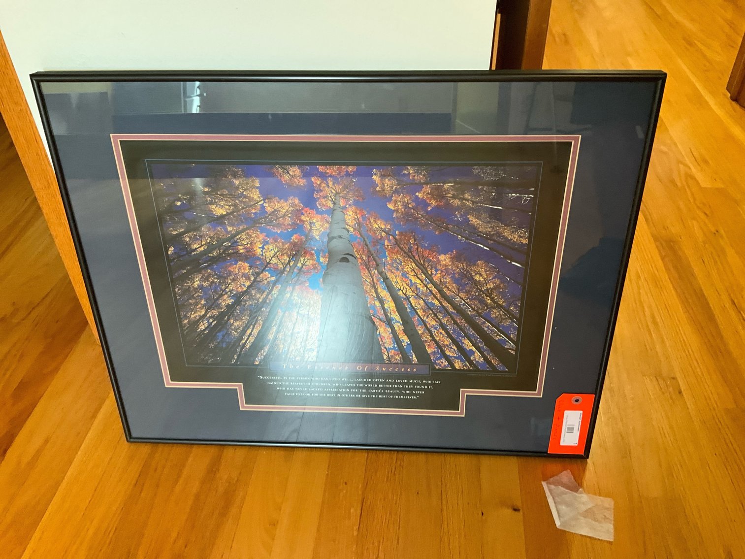 Image for Saratoga St - 9/8/25