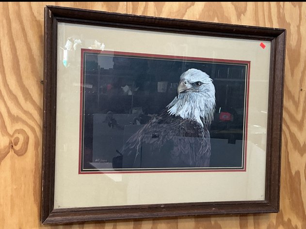 Image for New Building South - 11/12/25