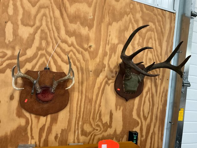 Image for New Building North - 11/19/25