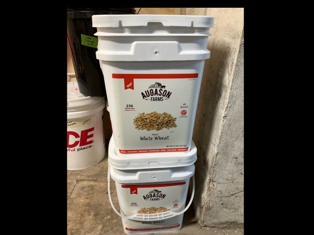 Image for Firearms, Ammo, Musical Instruments (Green Room) - 2/4