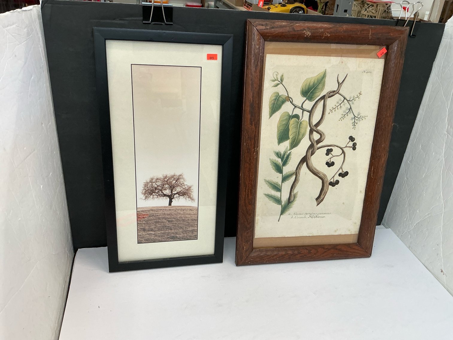 Image for Office Back Half - 2/11/26