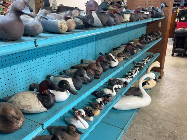 Image for UPPER BAY DECOY AUCTION - COMING SOON