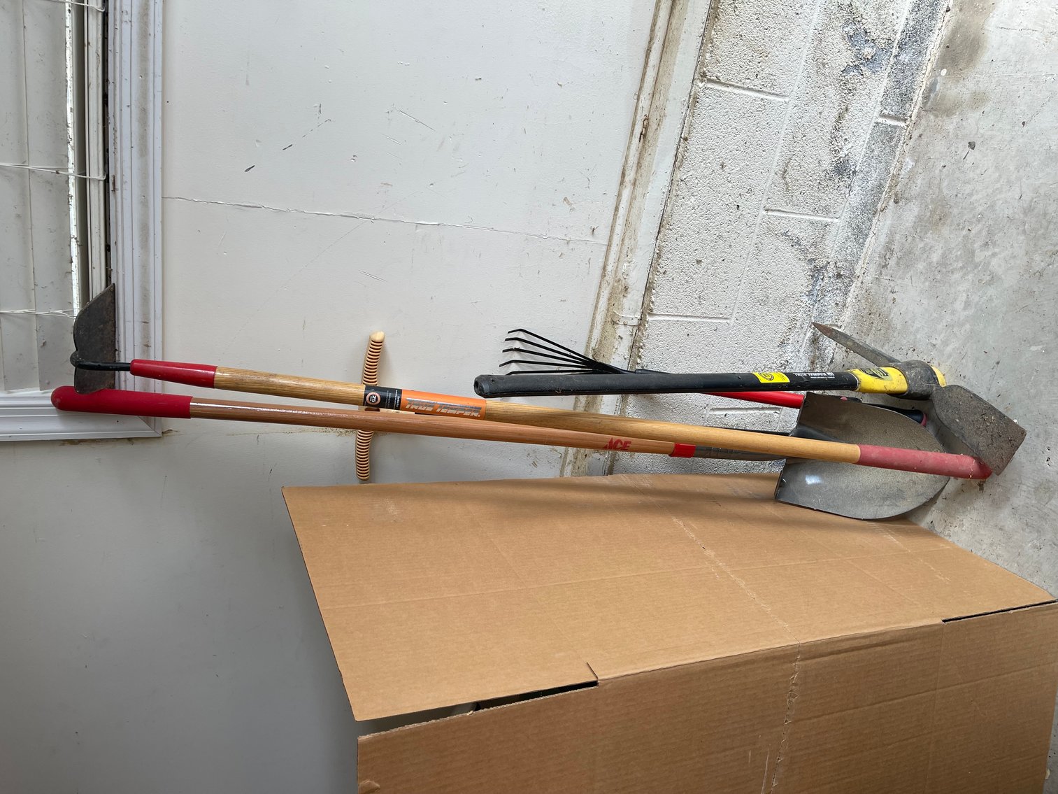 Image for Downsizing of Carl and Berta Hakes